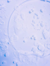 UPFRONT Shampoo Blonde Toner Shampoo Bar